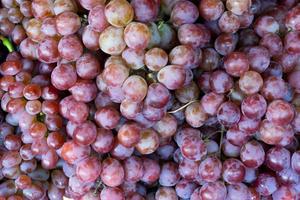 rojo vino uvas fondo oscuro uvas foto