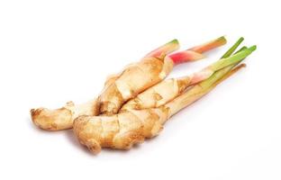 Fresh slices galangal rhizomes isolated on white background. Alpinia galanga isolated on white background. galangal rhizomes isolated on white background with clipping path photo