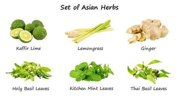 Set of asian herbs on white background photo