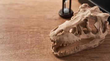 concept of Paleontology education background. dinosaur skull on wooden table background photo