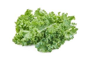 close-up fresh green Kale leaves bunch leaf cabbage isolated on white background. green kale or leaf cabbage isolated photo