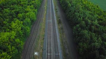 vuelo sobre un ferrocarril rodeado de bosque video