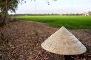 concept beauty of Vietnamese conical hat on the ground floor with blur green rice field background photo