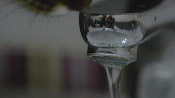 Cute cat drinking water from the tap video