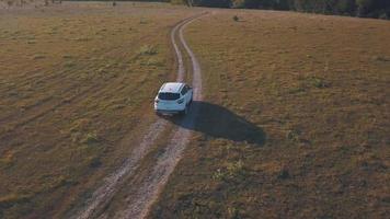 Aerial view on car driving through the road on a summer meadow video