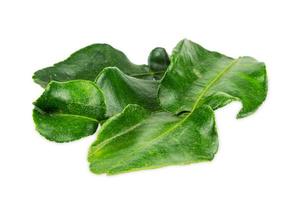 Leaf of bergamot isolated on white background photo