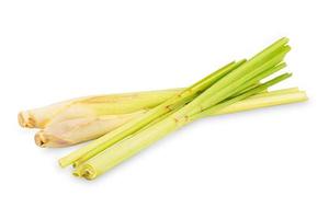 Lemongrass isolated on white background photo