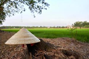 concept beauty of Vietnamese conical hat on the ground floor with blur green rice field background photo