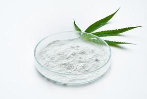 cannabidiol or CBD powder in glasses plate, Petri dish, and cannabis leaves on white background. weed concept photo