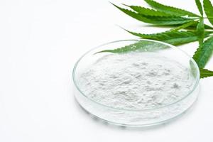 cannabidiol or CBD powder in glasses plate, Petri dish, and cannabis leaves on white background. weed concept photo