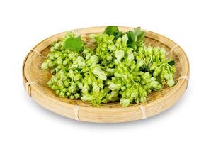 Cowslip creeper in wooden dish isolated on white background. green cowslip creeper in wooden dish isolated on white background. Cowslip Creeper Flower isolated on white background with clipping path photo