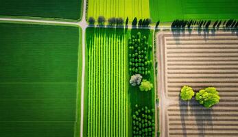 , Farm landscape, agricultural fields, beautiful countryside, country road. Nature Illustration, photorealistic top view drone, horizontal banner. photo