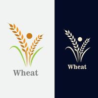 Wheat grain agriculture logo design for bakery business template vector