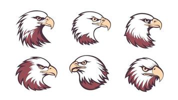 American Bald Eagle or hawk falcon isolated vector sign emblem logo element background. set of Bald Eagle or hawk falcon isolated vector sign emblem logo element background. Eagle or hawk falcon