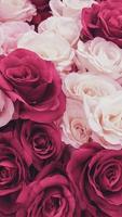 pink and red textile roses vertical background photo