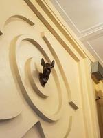 Statue of a deer head hunted by King Siak on display at the Siak Palace in Riau, Indonesia. photo