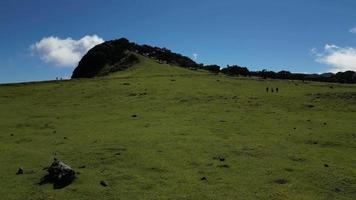 aéreo do a lindo verde montanhas do Madeira ilha dentro Portugal em uma ensolarado dia video