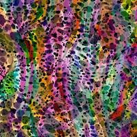 Abstract multicolor liquid holographic background, Digital painted abstract texture photo