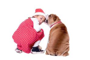 Playful dog and kid photo