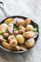 Fried potatoes with spices photo