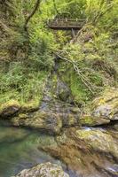 beautiful view in the woods with a river and wooden bridge photo