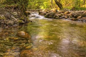 Beautiful autumn landscape with mountain river and colorful trees photo