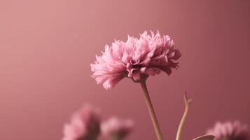 Pink natural flower background. Illustration photo