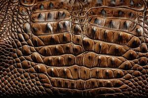 Crocodile Leather Animal Skin Texture Background Illustration with photo