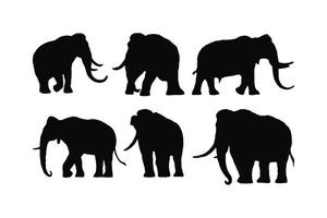 Big elephant walking silhouette collection on a white background. Huge elephant silhouette icon bundle. Wild animal silhouette set vector. Elephant with big tusks silhouette symbol vector. vector