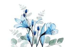 watercolor drawing. seamless border with transparent flowers and eucalyptus leaves. vector