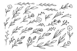 A collection of hand drawn leaves and flower decorative floral element vector