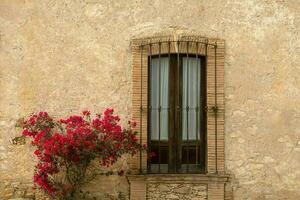 Rustic Mexican window with red Bougainvillea flowers photo