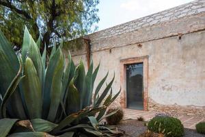 Beautiful old rustic Mexican house with cacti and a blue sky of white clouds photo