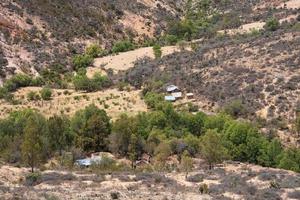 An abandoned rural house in the mountains with cactus photo