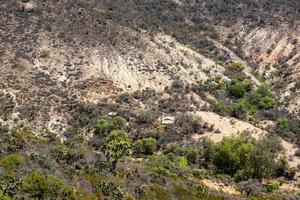 View of the semi-desert mountains from high up in Mexico. photo