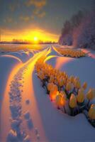 campo de tulipanes en el nieve a puesta de sol. generativo ai. foto