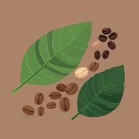 leaves and coffee beans vector