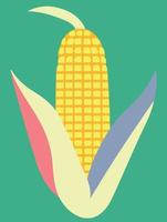 ripe corn on the cob vegetable food vector