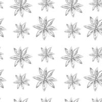 Seamless pattern of outline drawing of an anise star. Spicy spice for coffee or mulled wine. Isolate vector