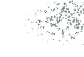 Light Green vector background with bubble shapes.