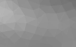 Light Silver, Gray vector polygonal background.