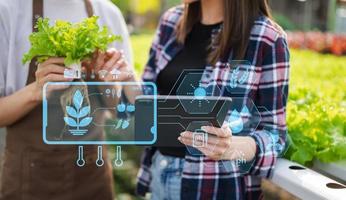 Woman hands gardening lettuce in farm  with growth process and chemical formula on green background. With VR icon photo