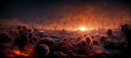 field filled with lots of frost covered plants. . photo