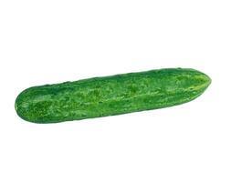Cucumber  isolated on white photo