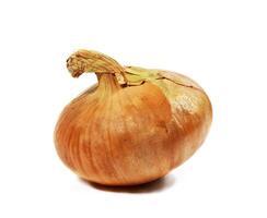 Ripe onion isolated photo