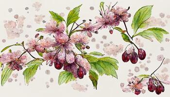 Beautiful watercolor botanical apple and pink floral seamless pattern. photo