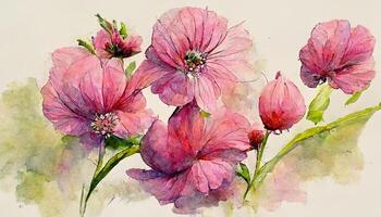 Colorful pink flowers, watercolor illustration. photo