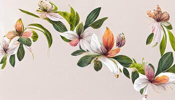 Elegant banner and background rose design. photo