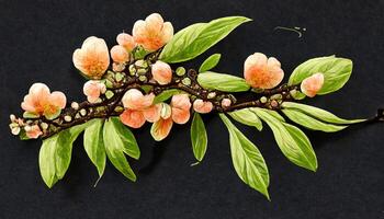 Wonderful Branch with spring flowers, Realistic fruit tree branch, Detailed hand drawn clip art element. photo