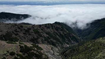 Zeitraffer von niedrig Wolken schwebend Über das Berge auf Madeira Insel im Portugal video